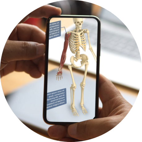 augmented reality skeleton